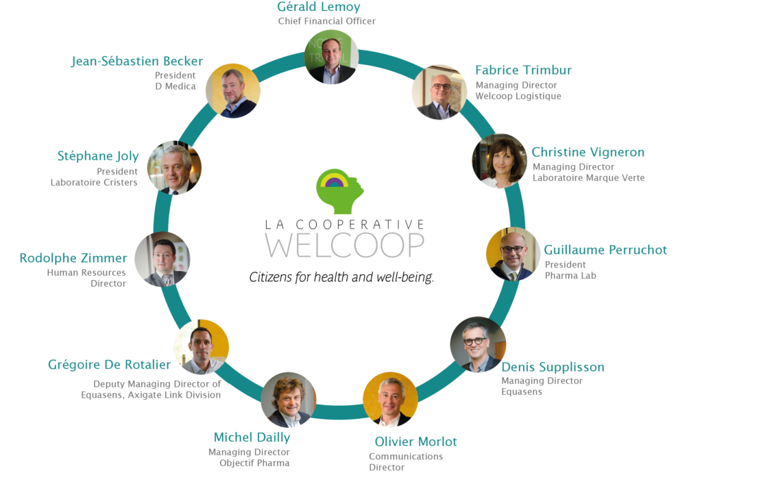 Organizational chart of Executive Committee members